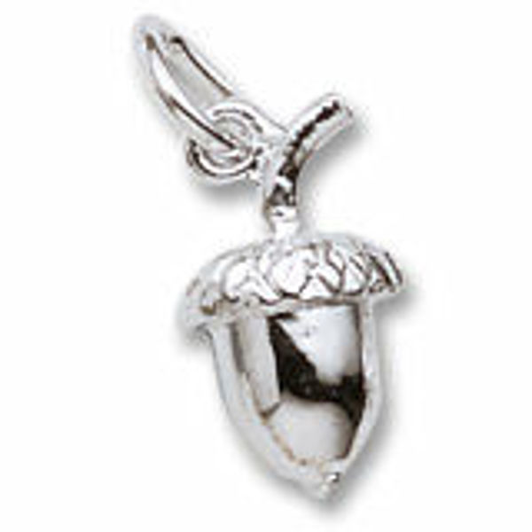 Picture of ACORN CHARM