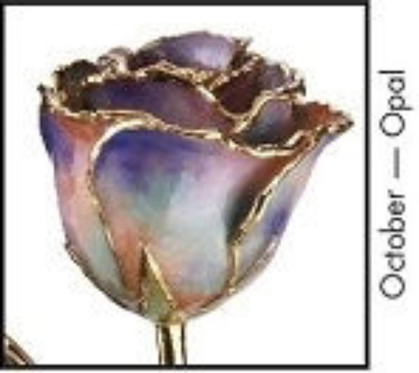Picture of 24KT Opal Lacquered Birth Month Rose October