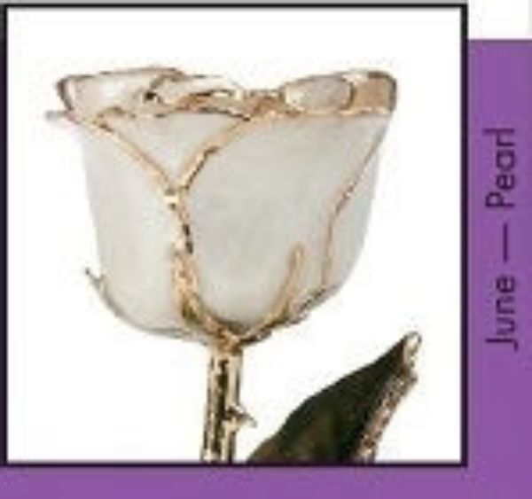 Picture of 24KT PEARL Lacquered Birth Month Rose JUNE