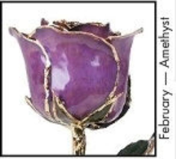 Picture of 24KT PURPLE Lacquered Birth Month Rose FEB