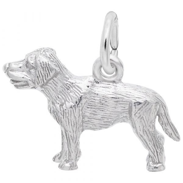 Picture of LABRADOR CHARM