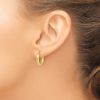Picture of Hinged Hoop Earrings