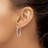 Picture of Oval Hoop Earrings