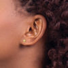 Picture of 14K YG 4MM BALL EARS