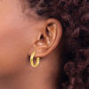 Picture of Leslie's 14K Hoop Earrings