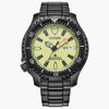 Picture of Citizen Promaster Dive Automatic Watch